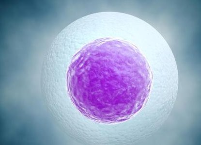 2026北京试管助孕生孩子医院一览，附试管助孕生孩子条件介绍