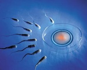 2026十堰三代试管成功率大比拼，湖北医院新风向