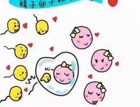 2026三代试管婴儿代三代基本费用是多少？