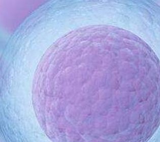 2026国内试管婴儿医院排名前十名单在线一览