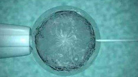 2026全国正规靠谱助孕公司名单大全：一共介绍前十家