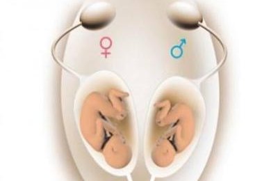 2026三代试管费用大概多少钱？一分钟看懂费用影响因素